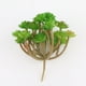 thumbnail image 1 of Billuyoard Simulación de flores artificiales, plantas de plástico falsas portátiles, centro de de boda, escritorio de recepción, decoración Decoración Mostrar como imagen Billuyoard JJ5154-00, 1 of 6