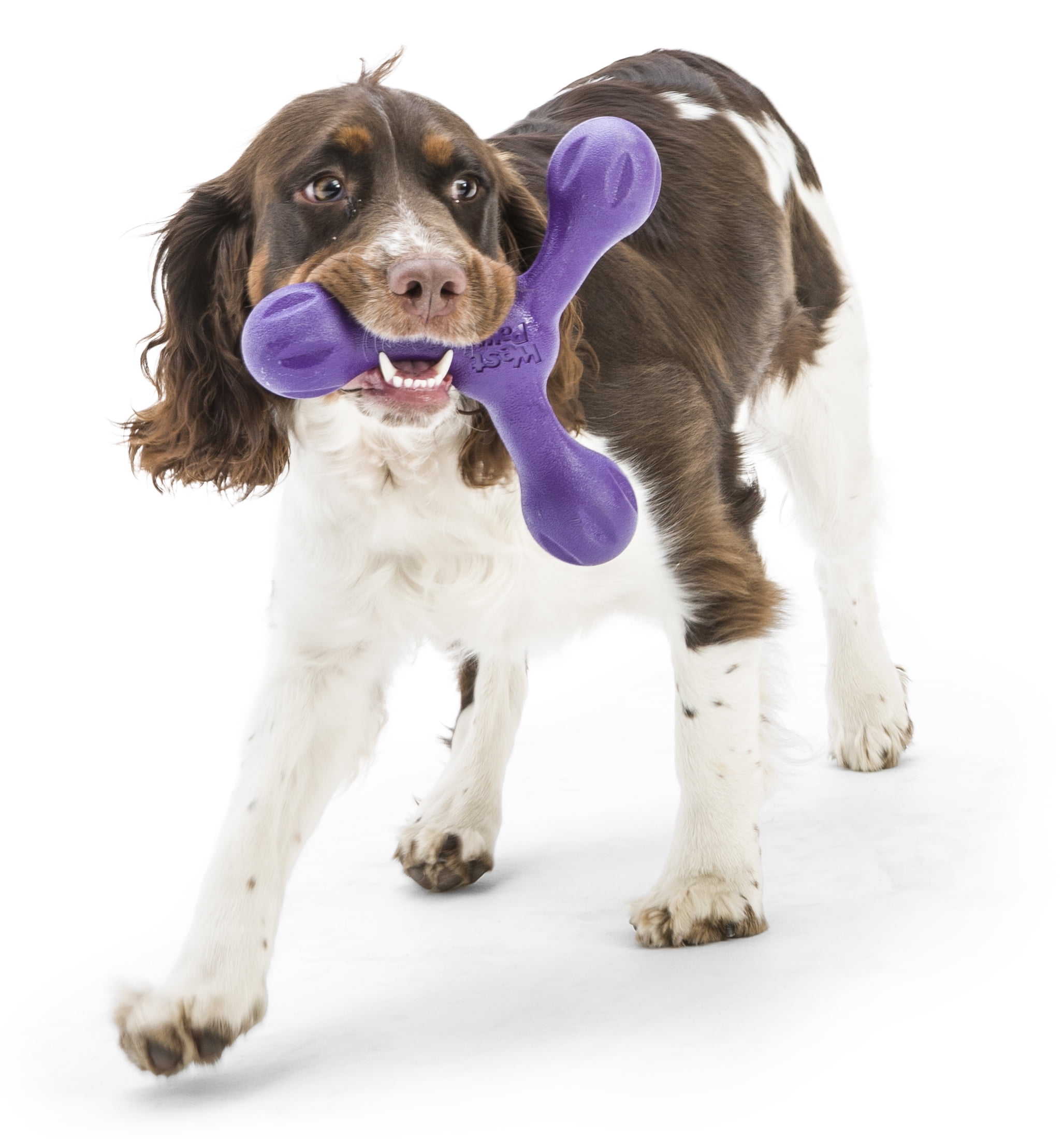 West Paw Zogoflex Echo Skamp Large 8.5" Dog Toy Eggplant