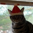 thumbnail image 3 of Chapeau de Chat Imprimé 3D Mode Étoile Design Unique pour Confort et Style Personnel, 3 of 5