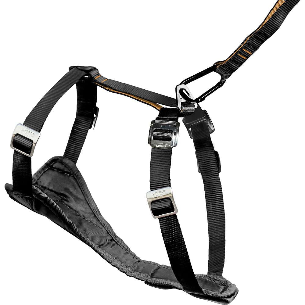 kurgo small dog harness