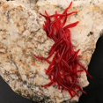 thumbnail image 1 of 100pcs Lifelike Red Worm Soft Lure Earthworm Summer Fishing Silicone Artificial Bait Fishy Shrimp Additive Bass Carp He Qiyong unisex, 1 of 1
