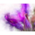 thumbnail image 2 of Tenoever, William 32x26 White Modern Wood Framed Museum Art Print Titled - Blue Dicks W/C Bloom 2, 2 of 4