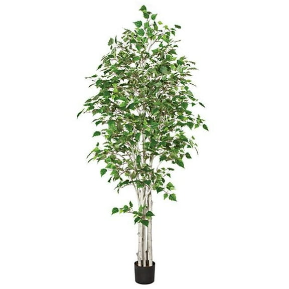 7 ft. White Birch Tree- Green