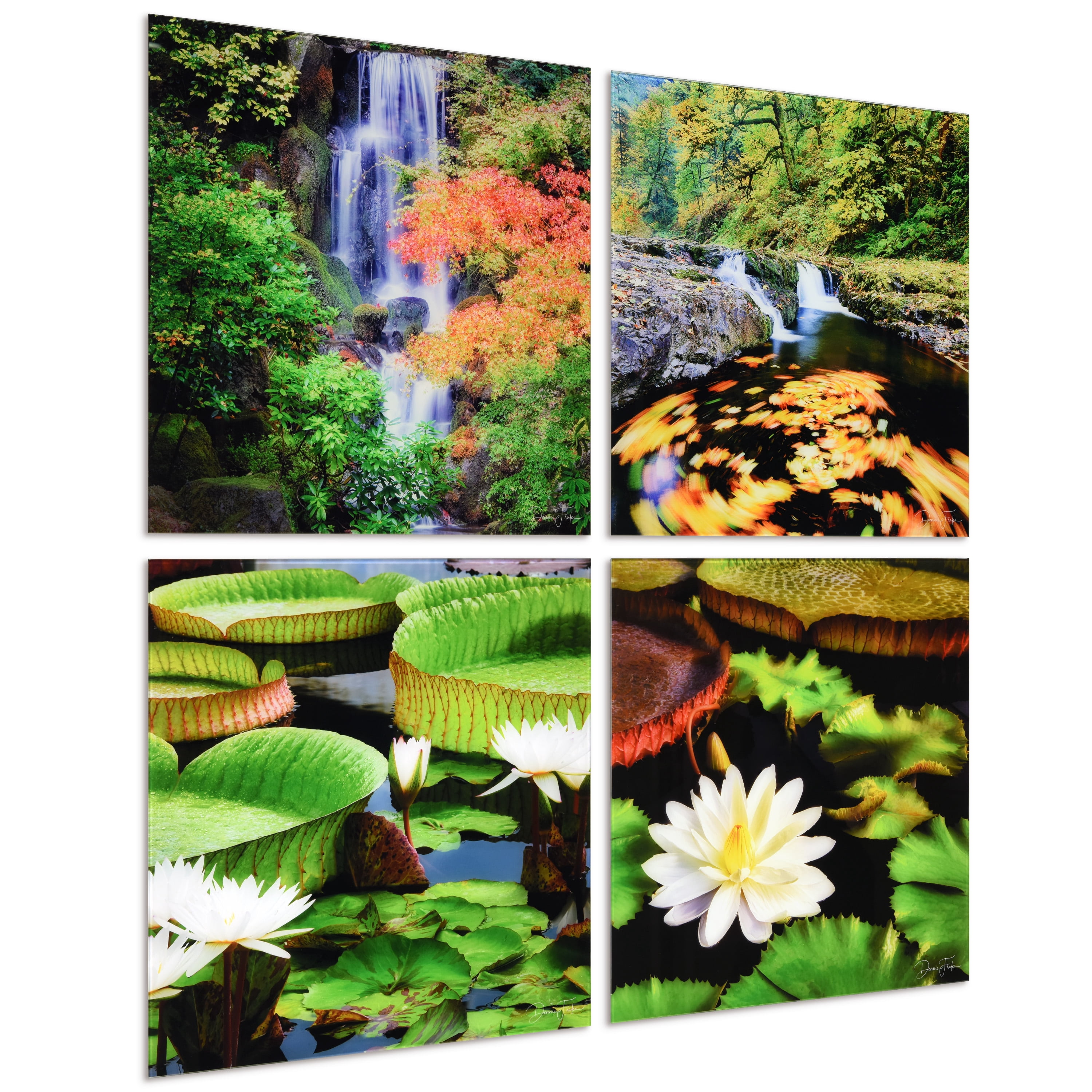"Amazon's Water Lilies" Frameless Free Floating Reverse Printed Tempered Glass Nature Scapes Wall Art