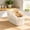 White B, variant on Gallickan Stackable Plastic Storage Bin with Handle White Shallow Ventilated Organizer Container for Kitchen Pantry Cabinet Closet