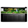 thumbnail image 3 of AMONIDA Aquarium Poster, Aquarium Sticker, PVC For Fish Tank Water Aquarium Decoration, 3 of 8