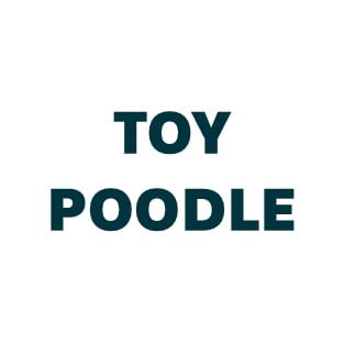 Toy Poodle Pill Butter