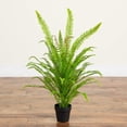 thumbnail image 4 of Nearly Natural 3ft. UV Resistant Artificial Boston Fern Potted Plant with Real Touch Leaves (Indoor/Outdoor), 4 of 7