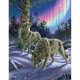 thumbnail image 1 of Diamond Painting (DE5044) 5D Wolf in Midnight DIY Home Square Picture Kit 20X30cm FLhrweasw Nuevo, 1 of 1