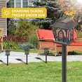 thumbnail image 4 of C Cattleya 6-Pack Black Solar LED Outdoor Landscape Lights for Garden Walkway and Backyard, 4 of 7