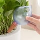 thumbnail image 4 of BESTYASH 3Ud Globos Automáticos De Para Plantas Con Material Plástico Resistente Y Uso, 4 of 6