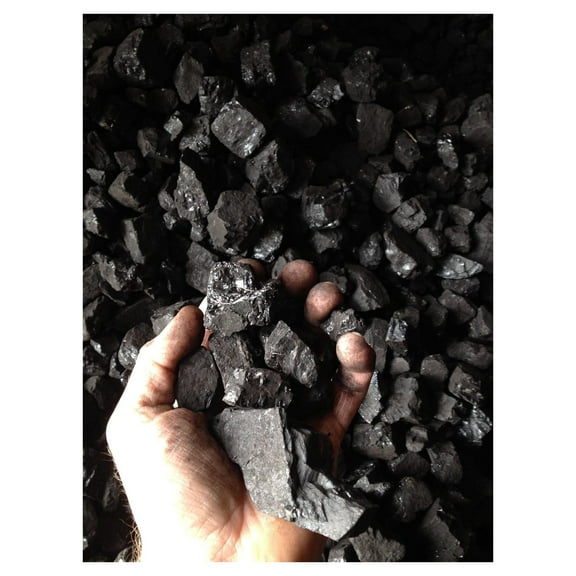 Bituminous Coal 50lbs