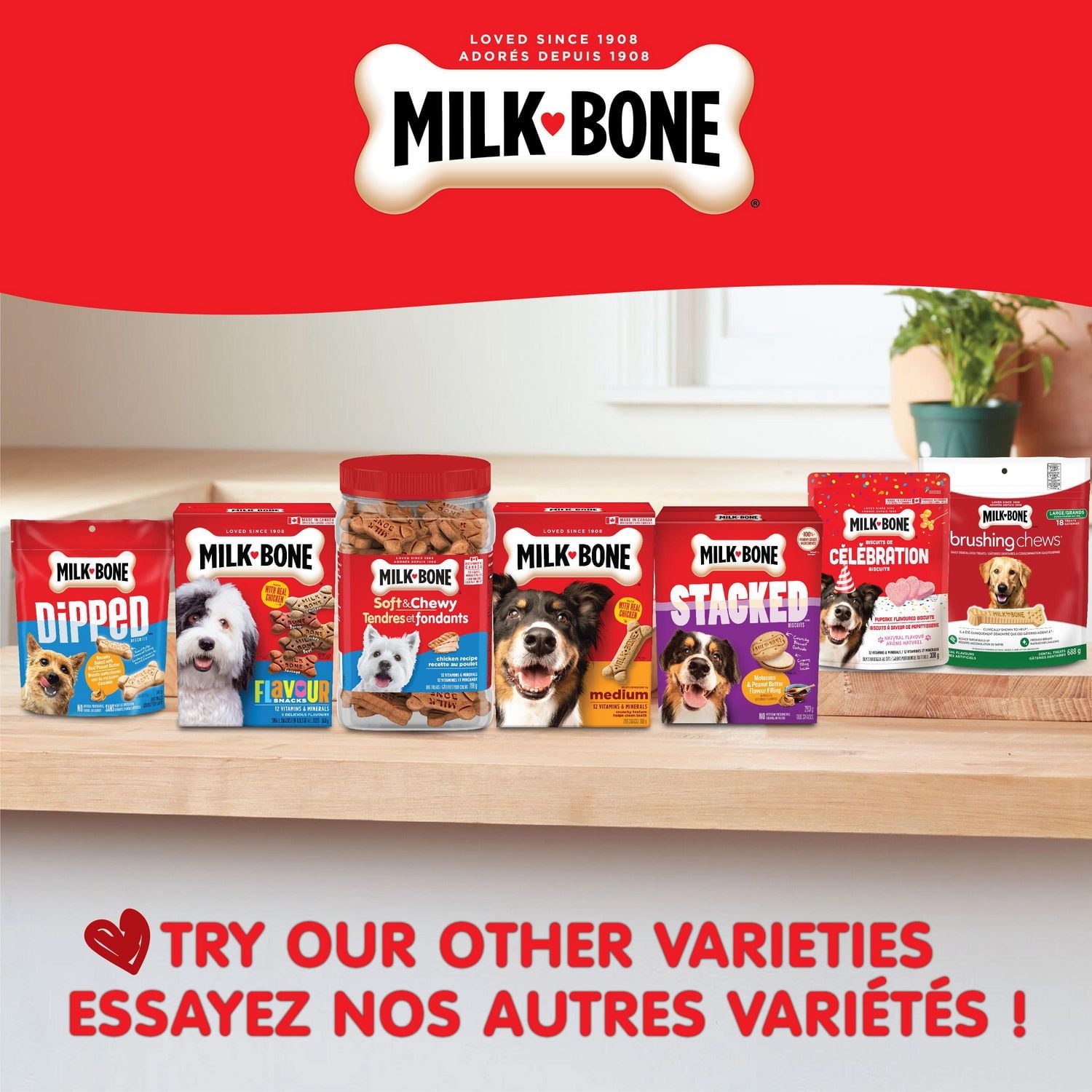 Milk-Bone* Flavour Snacks for Dogs