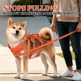 thumbnail image 5 of Pet Artist No Pull Dog Harness Escape Proof Reflective Adjustable Sport Vest with Handle, 5 of 12