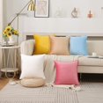 thumbnail image 2 of 2Pc Velvet Pillow Covers, Solid Color With Piping, 18X18 Inch Watermelon Red Decorative Throw Pillow Cases For Couch Bed Sofa Living Room - Soft Flannel Pillowcases For Home, 2 of 3