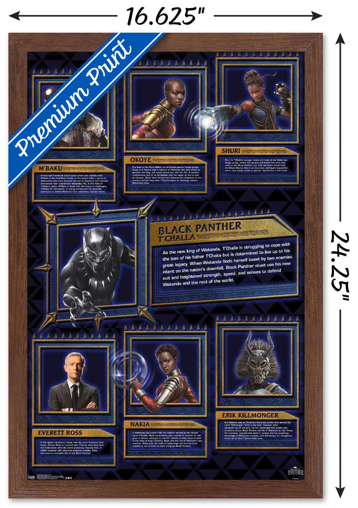 Marvel Cinematic Universe - Black Panther - Bios Wall Poster, 14.725" x 22.375", Framed