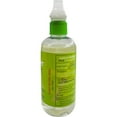 thumbnail image 5 of Bloc Mosquito Repellent Spray 12oz All Natural, 5 of 6