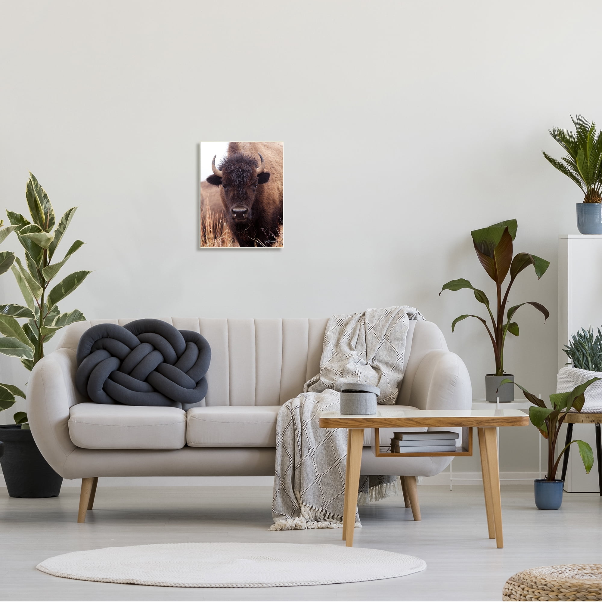 Stupell Industries Tall Grass Bison Portrait Country Cattle Autumn Photography, 13 x 19,Design by Debra Van Swearingen