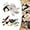 Bluebird+Penguin, variant on Interactive Chirping Bird Cat Toy, Flapping Bird Cat Toy, Flying Bird Cat Toy, Chirping Bird Cat Toy Flapping Wings, Flying Simulation Electric Sparrow Shaking Bird Hunting Cat Toy (Bluebird*1)