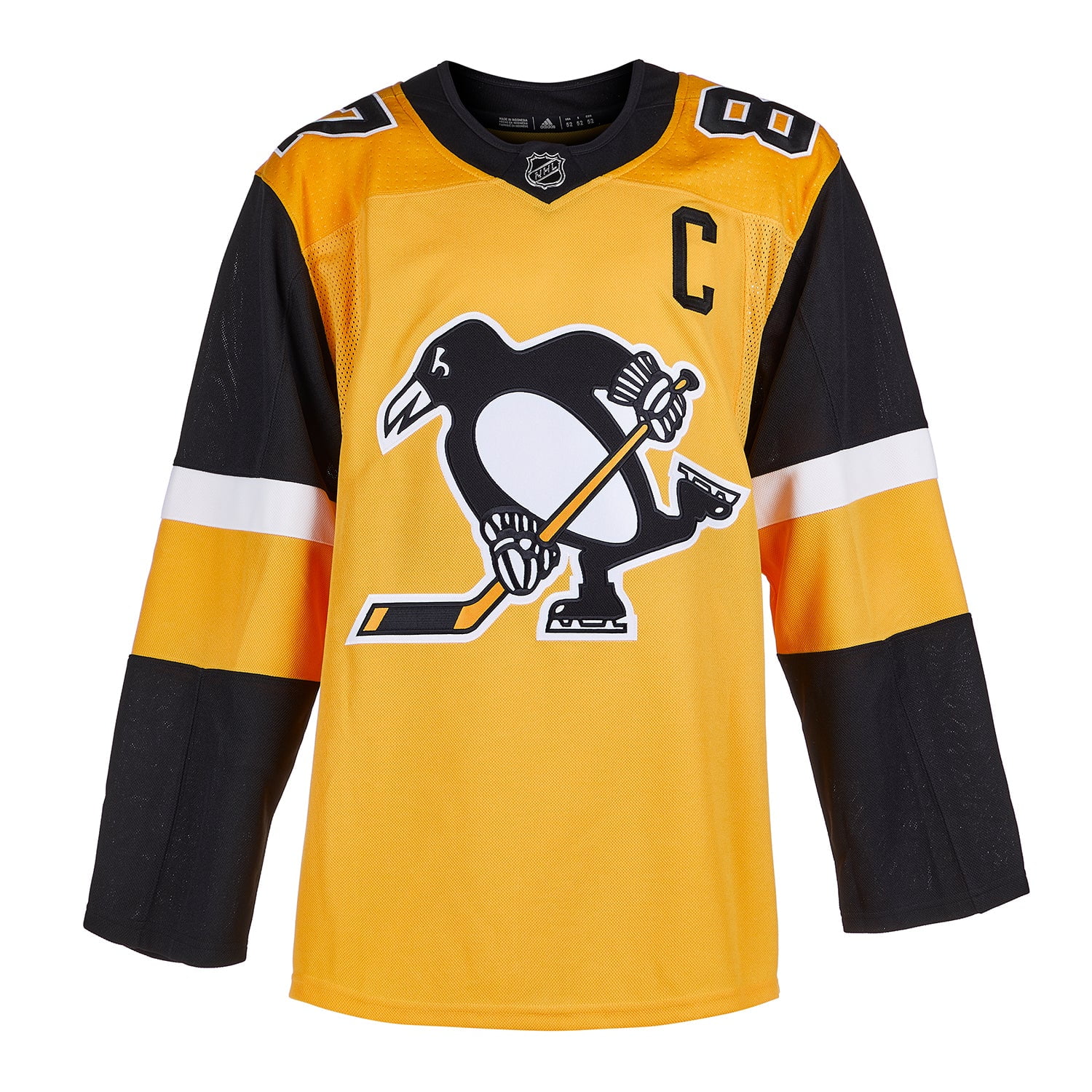 Sidney Crosby Signed Penguins Jersey (Frameworth Hologram