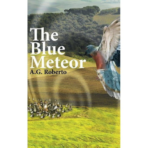 The Blue Meteor (Hardcover)