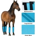 thumbnail image 3 of 4Pcs Fly Boots for Horses, Breathable Plastic Mesh Design, Horse Supplies for Reduce Stomping, Hoof Damage & Leg Fatigue (Water Blue), 3 of 7