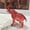 Red, variant on Crystal Elephant of Glass Figurines Collectible，Cute Glass Animals Ornament Elephant Decor Statue，Home Decor Ornaments，Blue