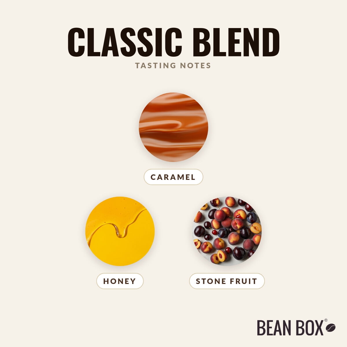 Classic Blend - Roasted by Kuma Coffee - Whole Bean Coffee - 12oz Bag