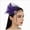 Purple, variant on HCNTES 1920s Headpiece Flapper Headband, Rhinestone Pearl Feather Hair Band Great Gatsby Headpiece Accessoreis for Women Green