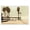 Tropical Beach Walkway, variant on Stupell Industries Coastal Tropical Café Del Mar Black Floating Frame Canvas Art, 25 x 17, by Noah Bay