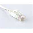thumbnail image 1 of Efilliate Reseller 119 7305 CAT6 Patch Cable 7 ft.- White, 1 of 1
