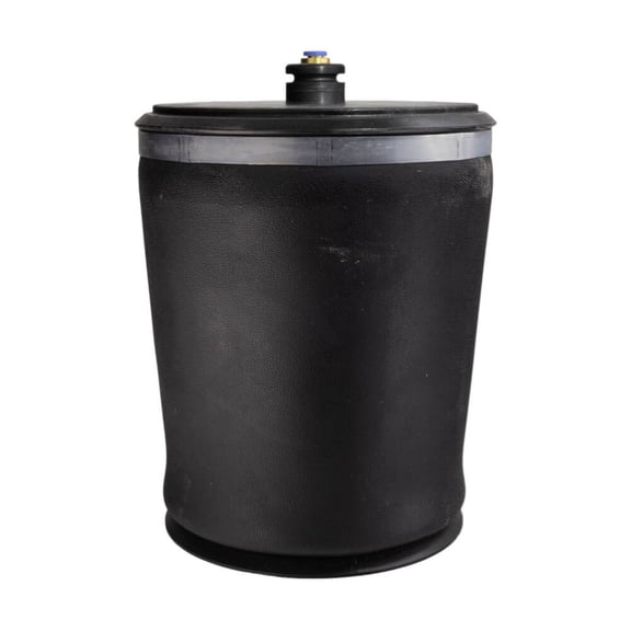 Air Spring, Replaces Oem W26-358-9933