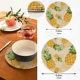 thumbnail image 3 of Pot Holders Trivets Set Cotton Potholders Set, Hot Pads Set of 2, Summer Pineapple Hot Pot Trivets One 9.45 Inch and One 7 Inch, 3 of 7