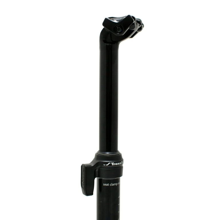 Tranzx ysp22 2024