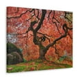 thumbnail image 4 of Old Japanese Maple Tree In Japanese Garden Canvas Wall Art for Home Decor Ready-to-Hang, 4 of 10