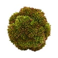 thumbnail image 3 of Nearly Natural Plastic 4" Sedum Succulent Spheres Artificial Plant (Set of 6), Green, 3 of 5
