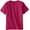Rose, variant on Short Sleeve UPF 50+ Rash Guard Swim Shirt Surf for Boys Girls - Toddler 3 - Red