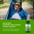 thumbnail image 7 of Swanson Colon Helper - Promotes Digestive Health Using Vervain, Goldenseal Root, Slippery Elm Bark & More - Herbal Supplement Aiding Healthy Eliminations - (60 Capsules) 1 Pack, 7 of 7