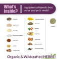 thumbnail image 4 of Amber NaturalZ Carticil Plus for Dogs | Joint, Gut, Lung, & Heart Health | 60 days, 4 of 6