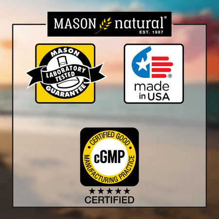 Mason Natural Activated Charcoal - Alleviates Gas and Bloating, Promotes Natural Detoxification, Highly Absorbent Supplement, 60 Capsules