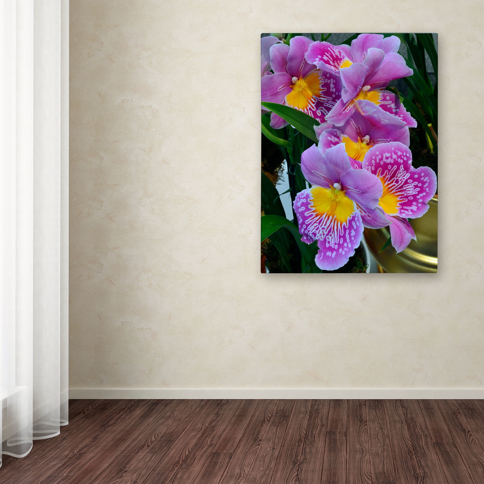 Trademark Fine Art "Happy Orchids" Canvas Art by Kurt Shaffer