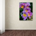 thumbnail image 3 of Trademark Fine Art "Happy Orchids" Canvas Art by Kurt Shaffer, 3 of 3