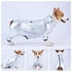 thumbnail image 3 of Chaqueta para perro Cuello alto de cuerpo completo Abrigo con cremallera Traje espacial impermeable, 3 of 8