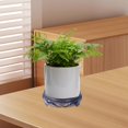 thumbnail image 1 of Soporte para plantas con Base para maceta, soporte para maceta redondo antiguo, soporte para pecera para pasillo, jardín, hogar, decoración interior y, 1 of 8