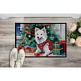 thumbnail image 6 of Carolines Treasures DAC2685JMAT 0.15 x 24 x 36 in. Japanese Spitz Cozy Christmas Doormat, 6 of 6