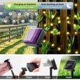 thumbnail image 3 of Guirnalda de luces solares con forma de flor de Dinheiro, decoración de luces de hadas impermeables para exteriores, 3 of 6