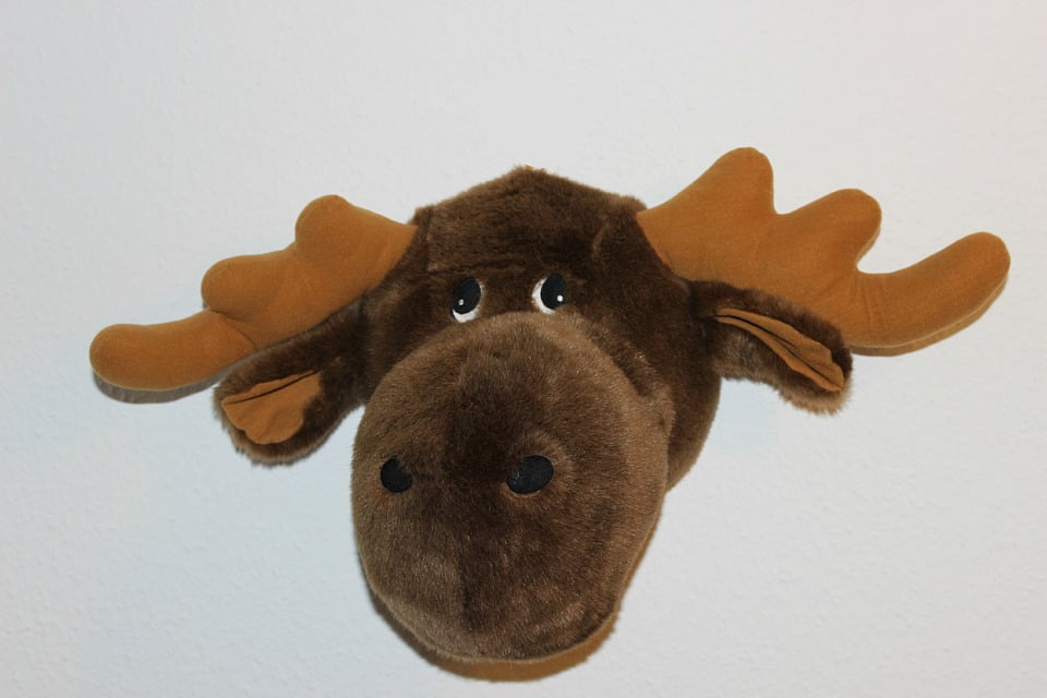 stuffed animal moose head