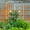 Cream White#3, variant on Garden Trellis, Metal Garden Arch with two plant stands 79.5'' Wide x 86.6'' High Climbing Plants Support Rose Arch Outdoor Black, Black Outdoor Garden Arch,Iron Metal Garden Trellis