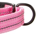 thumbnail image 3 of Alcott Adventure Martingale Collar - Pink - Large, 3 of 5
