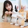 thumbnail image 5 of Simulation Kawaii Long Ears Realistic Rabbit Plush Toy Lifelike Animal Stuffed Doll Toys for Kids Girls Birthday Gift Room Decor, 5 of 5